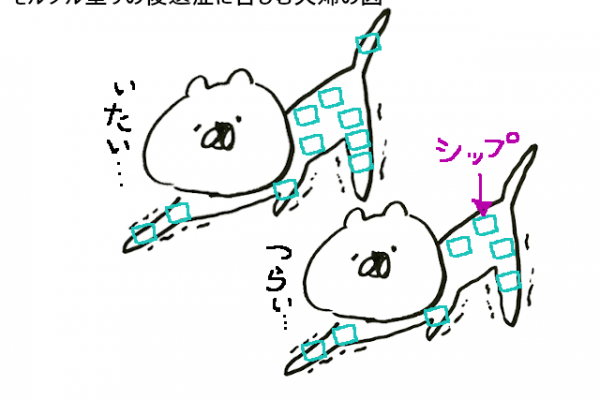 ブロック塀の塗装 ～ 後編