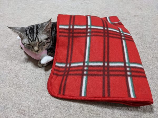 ママさんのいたずら
