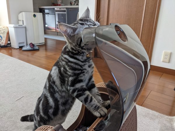 初めてのお出かけ??