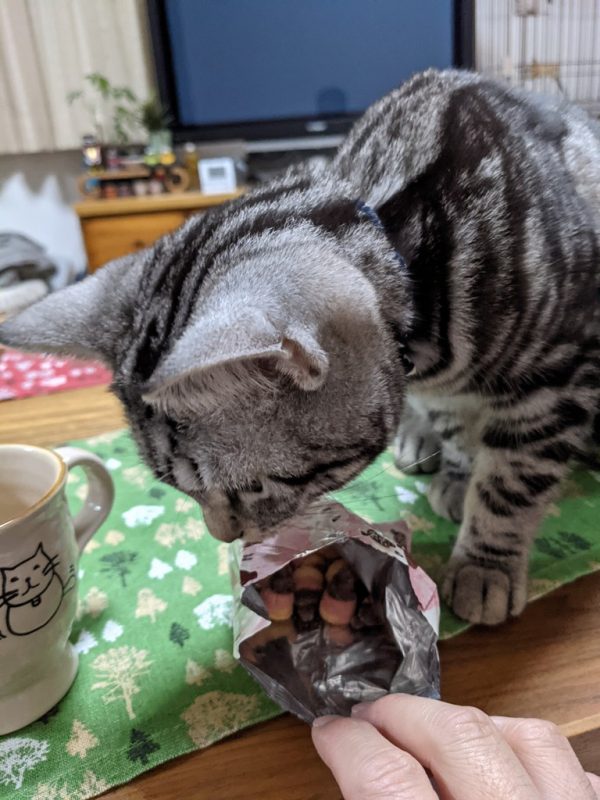 食への執念?part.2