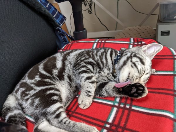 ちょっとよけて下さいな?その２