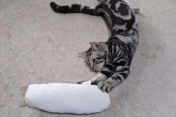 ちょっと怖い?けりぐるみ
