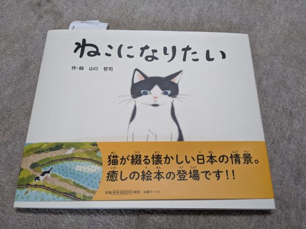 市内散策。ねこになりたい。