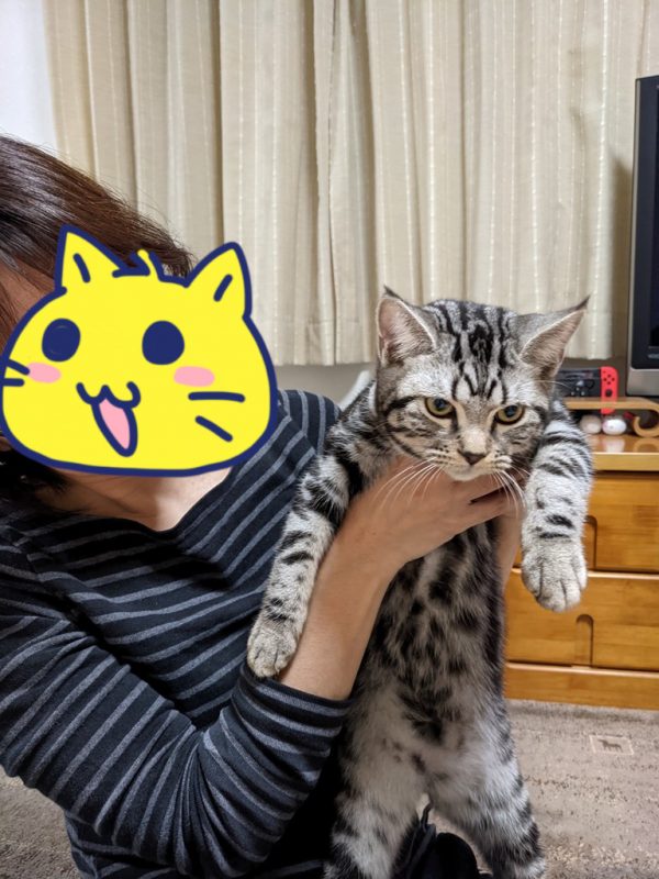 はぶてとるんです?