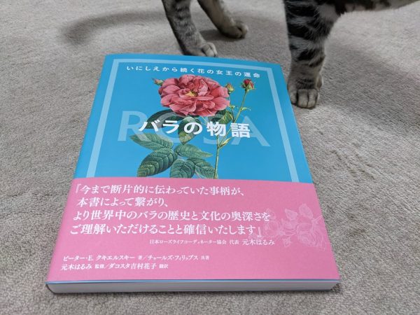 バラの物語と嫌われる勇気