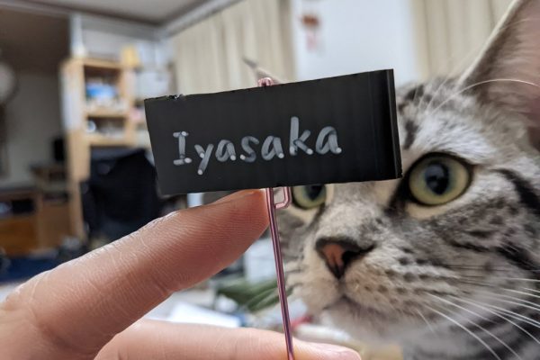 ネームプレートの作り方と日向ぼっこ銀様