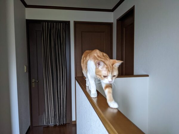 あぶないよぉぉ❗😱