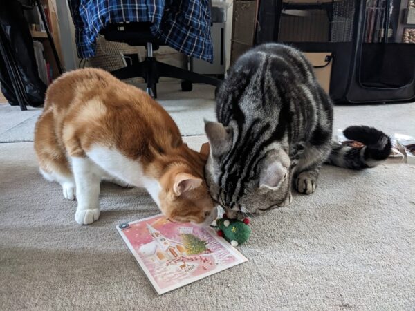 悪チェック隊😾と終わらぬつるバラ剪定