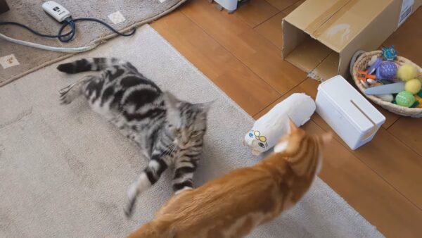 トムとジェリー