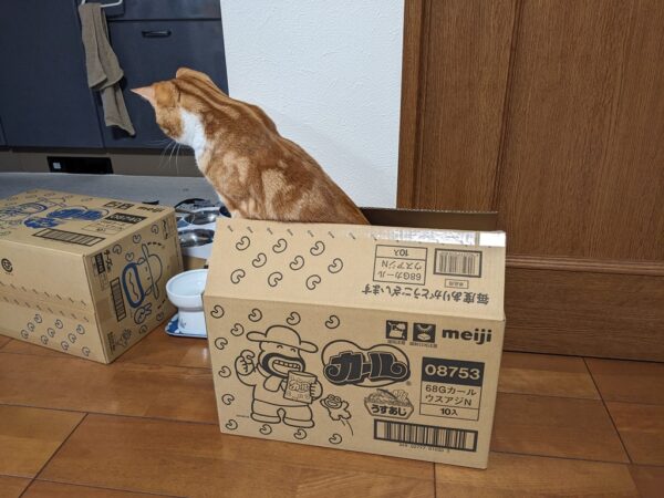 それにつけてもおやつはカ～ル🎵