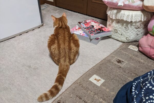 バラ活🌹の開始と、すみっこ点検士🔍