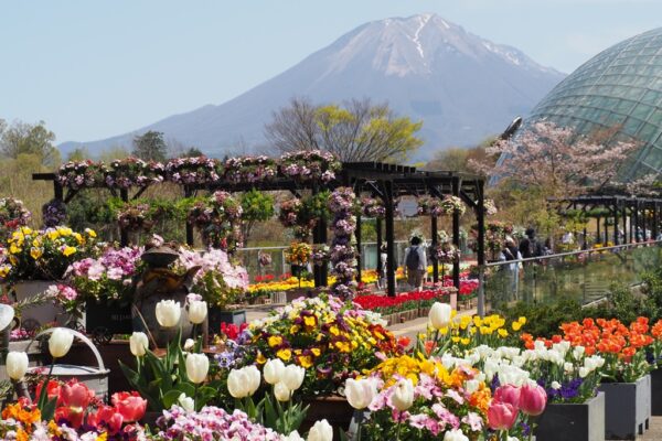 とっとり花回廊と大山
