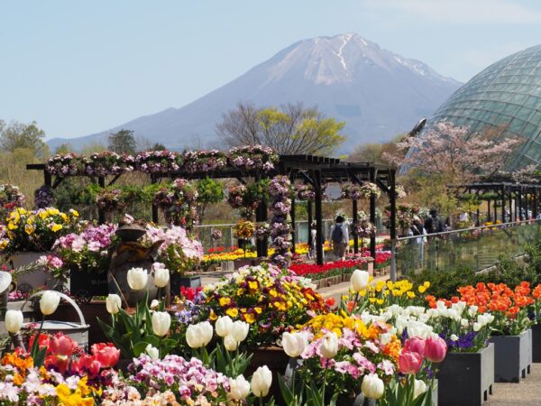 とっとり花回廊と大山