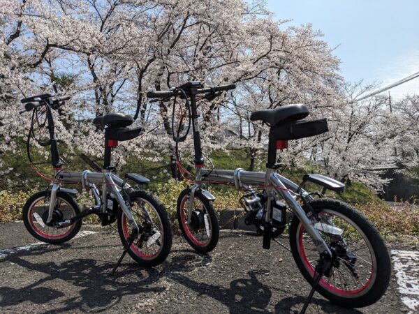 春が来た！