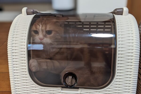 ワクチン接種