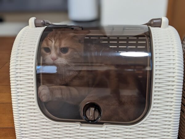 ワクチン接種